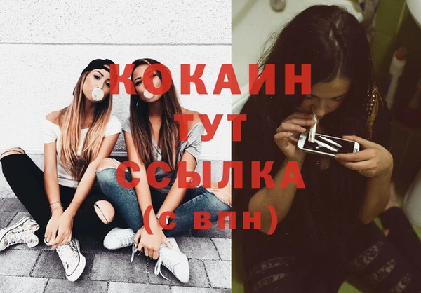 молекула духа Алексин