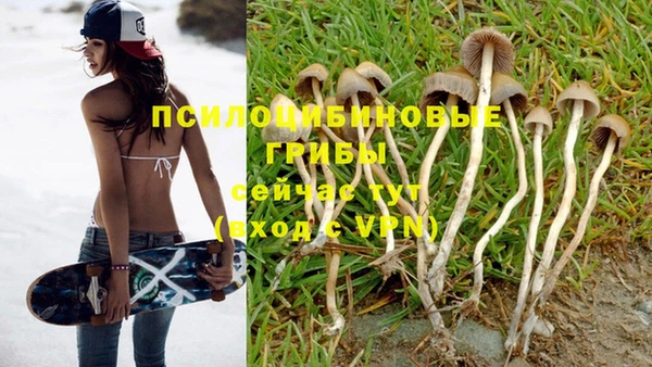 молекула духа Алексин