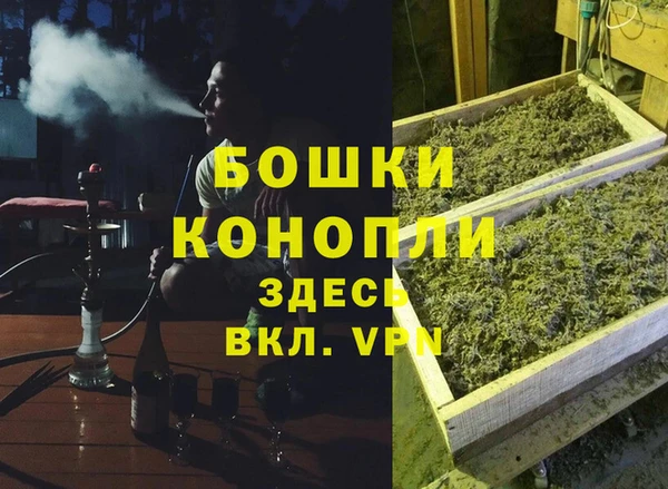 стаф Алексеевка