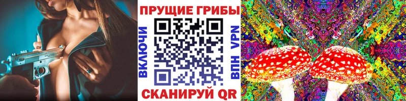 Галлюциногенные грибы Magic Shrooms  Люберцы 